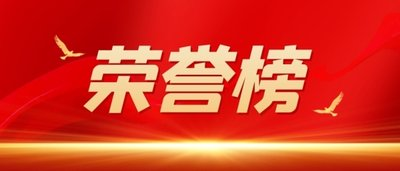 南岸區人大代表貢獻榜單發布  集團董事、總經理黃怡霖上榜